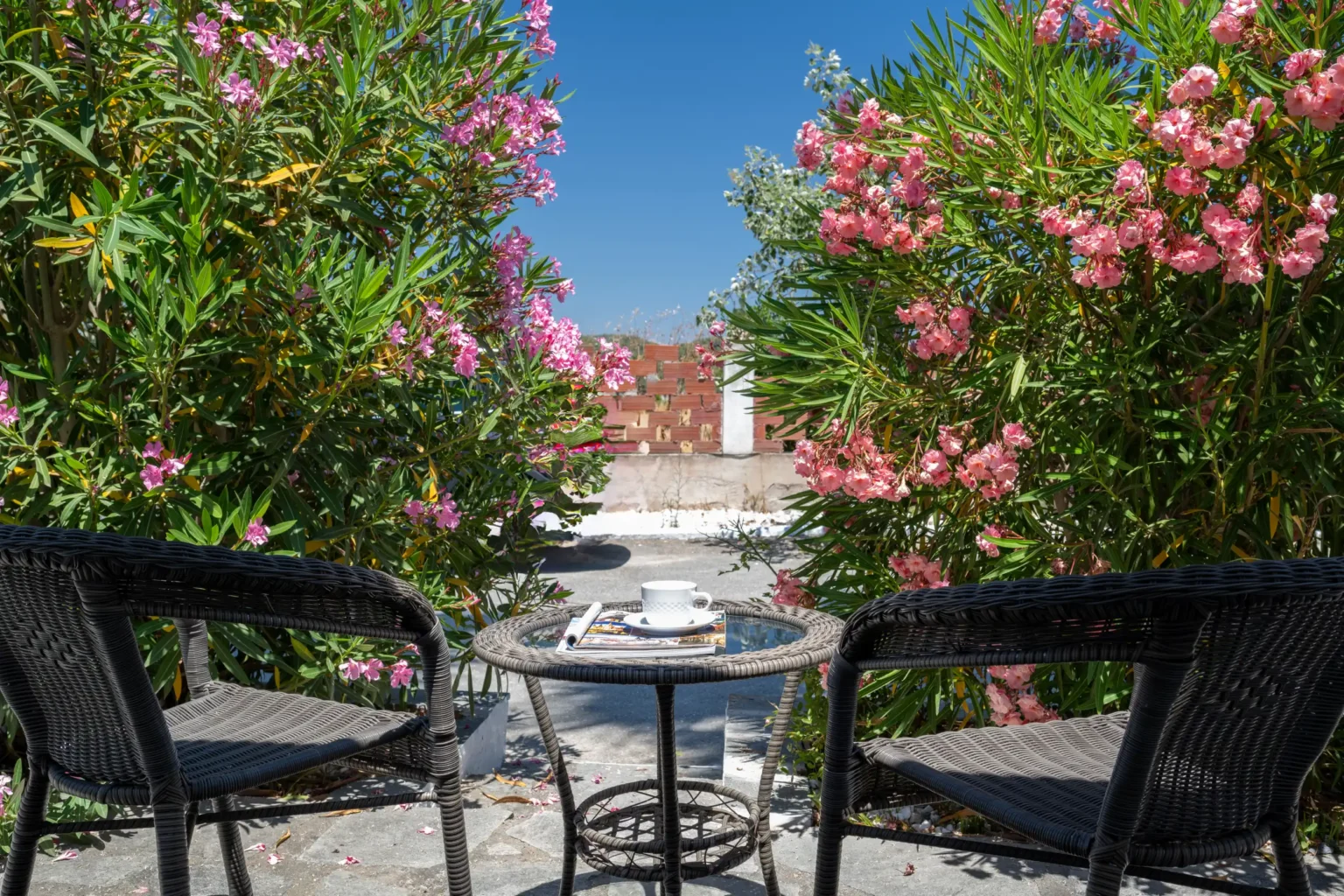 Standard Quadruple_Palma_Village (10)