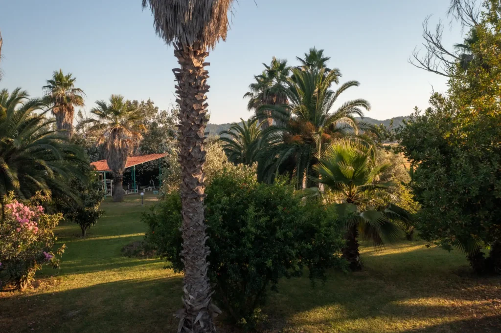 Palma_Village_AIR (8)